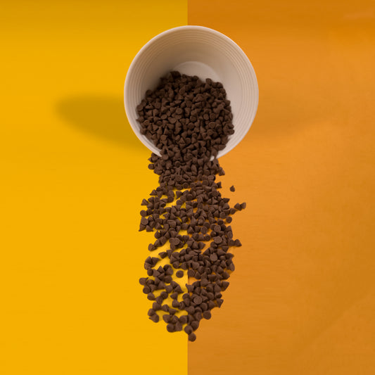 Chocolate Chips Regular (1 kg)